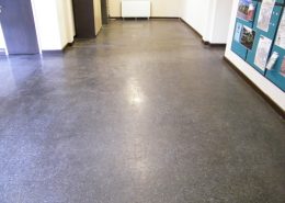 Thermoplastic floor tiles before