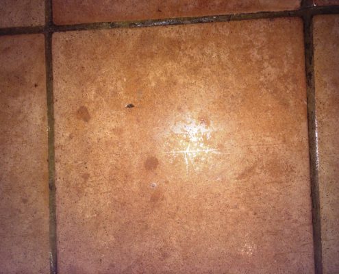 Ceramic floor tile and grout cleaning