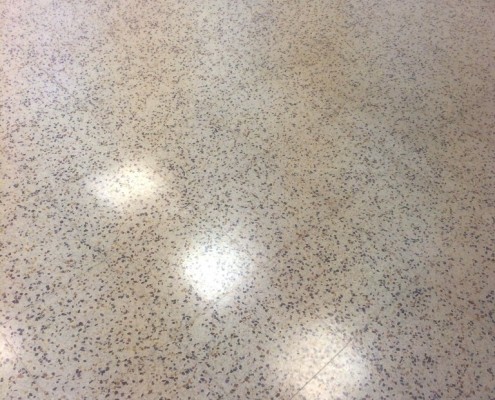 Terrazzo Floor Cleaned, Sealed & Polished