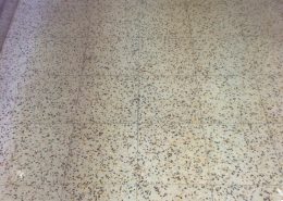 Terrazzo Floor before cleaning and sealing