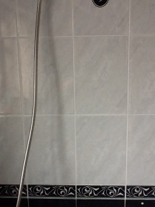 shower clean after jones knowle 4