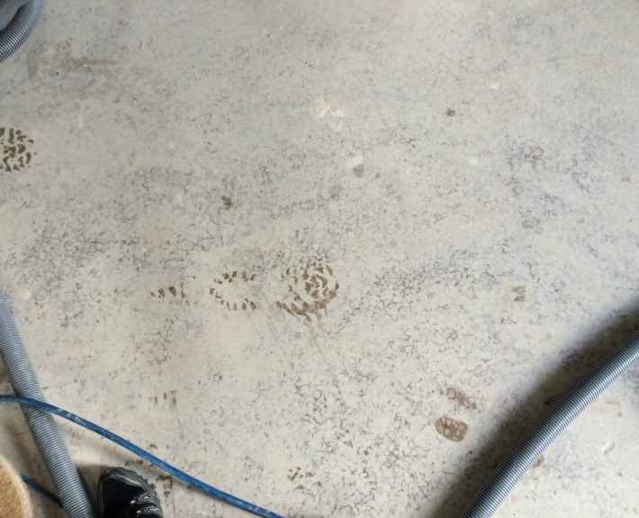 Terrazzo Floor Cleaning Birmingham Tile & Stone Medic