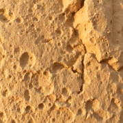 Close-up of warm-toned sandstone with natural texture and color variations, highlighted by soft natural lighting showing porous, grainy details.