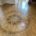 Amtico hallway deep cleaning, stripping and dressing (sealing and polishing) in Evesham, Worcestershire, after